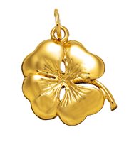 Charm Giovanni Raspini Donna in Argento 08580